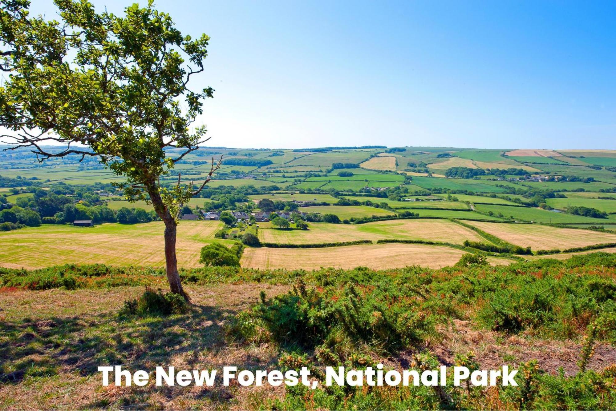 Cosy Retreat Near New Forest Ellingham  Εξωτερικό φωτογραφία